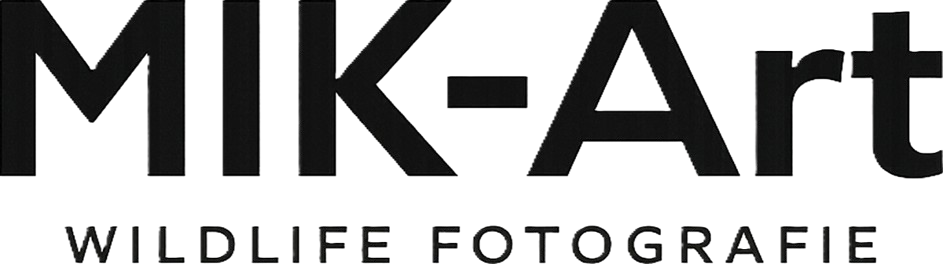 Logo von Mik-Art